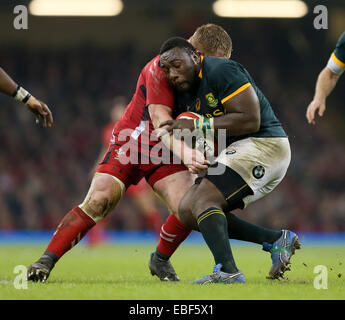 Cardiff, UK. 29th Nov, 2014. Teboho Mohoje of South Africa tackled by Samson Lee of Wales - Autumn Internationals - Wales vs South Africa - Millennium Stadium - Cardiff - Wales - 29th November 2014 - Picture Simon Bellis/Sportimage. Credit:  csm/Alamy Live News Stock Photo