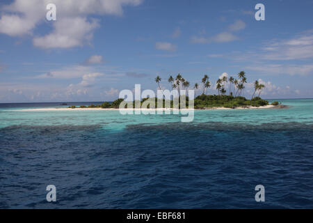 Palm tree uninhabited island Maldives Stock Photo