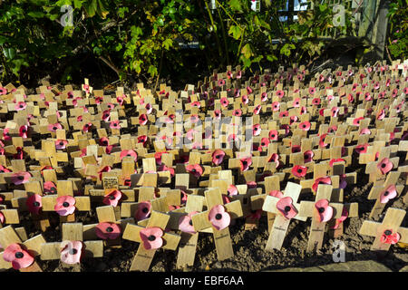 Small wooden crosses with poppies, First World War memorial Stock Photo