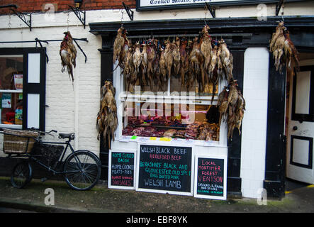 Pheasants and Game birds hanging outside a traditional butchers shop in Ludlow Shropshire Stock Photo