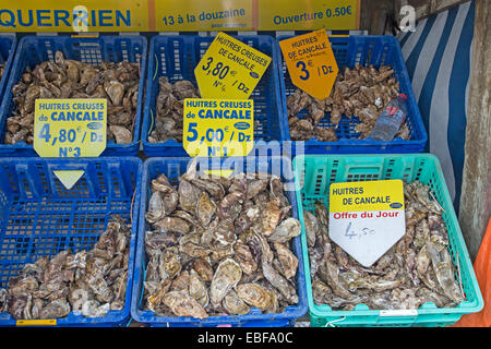 Fresh Cancale oysters for sale, Cancale, Brittany, France, Europe Stock Photo