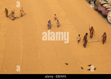 Voirob, Bangladesh. 30th Nov, 2014. There are many children and women who work in the rice mills from 8 a.m. 6 p.m. in the evening on a daily basis for children 50 taka ($0.65 USD) and women 110 taka ($1.43 USD) per day. They only get a short lunch break. Lung disease is common. © Zakir Hossain Chowdhury/ZUMA Wire/Alamy Live News Stock Photo