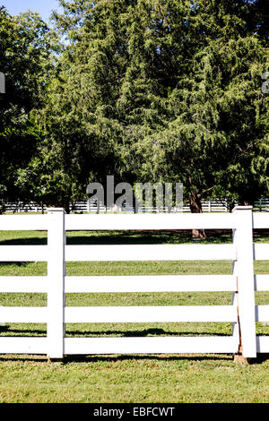 White ranch fencing around the 1000 acres of the Hermitage, Home and