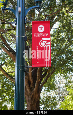 University of Mississippi banner, Oxford MS Stock Photo