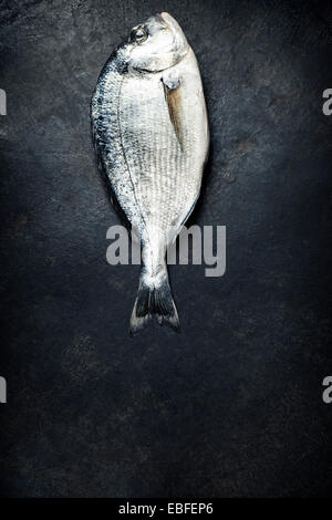 Delicious fresh fish on dark vintage background Stock Photo