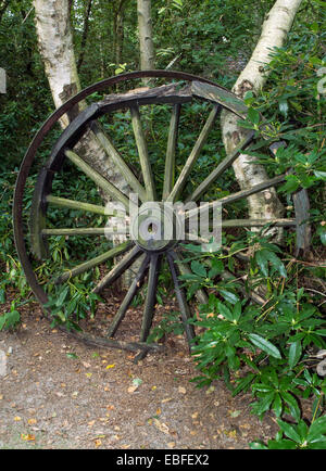 old wooden coach wheel in forest Stock Photo