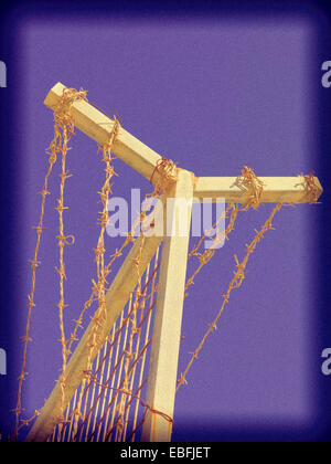Y-shaped barbed wire fence. Stock Photo
