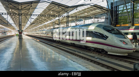 MALAGA RAILWAY STATION SOUTHERN SPAIN WITH RENFE OR AVE  HIGH SPEED TRAIN AT PLATFORM Stock Photo