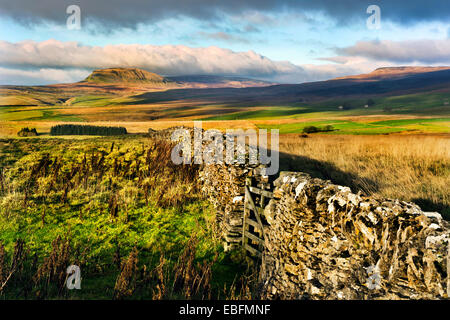 Pen-y-ghent hill on the horizon seen from the Pennine Bridleway loop to the South, near Settle, North Yorkshire, UK Stock Photo