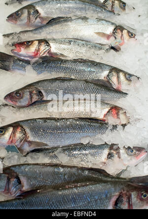 Frozen fish on the market. Stock Photo