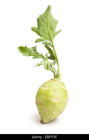 kolirabi isolated Stock Photo