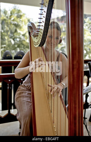 Harpist woman. Italian resident harpist Chiara Capobianco playing at the Centara Hotel Hua Hin Thailand S. E. Asia Stock Photo