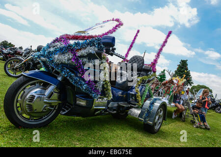 (141201) -- JOHANNESBURG, Dec. 1, 2014 (Xinhua) -- Children pose for a photo beside a motorcycle at the end venue of the Toy Run in Benoni, Gauteng Province, South Africa, on Nov. 30, 2014. The annual motorcycle charity ride of South Africa, Toy Run, was held in Gauteng Province Sunday. The event, which has a 32-year history, attracted nearly 15,000 motorcyclists this year. More than 25,000 toys and stationary items have been donated by the motorcycle enthusiasts and the crowds for children. (Xinhua/Zhai Jianlan) Stock Photo