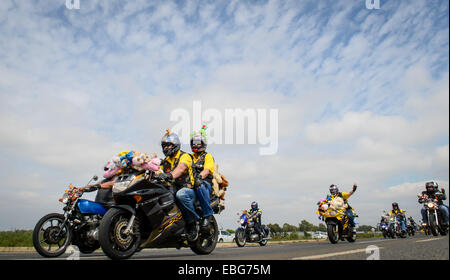 (141201) -- JOHANNESBURG, Dec. 1, 2014 (Xinhua) -- Motorcyclists take part in the Toy Run in Benoni, Gauteng Province, South Africa, on Nov. 30, 2014. The annual motorcycle charity ride of South Africa, Toy Run, was held in Gauteng Province Sunday. The event, which has a 32-year history, attracted nearly 15,000 motorcyclists this year. More than 25,000 toys and stationary items have been donated by the motorcycle enthusiasts and the crowds for children. (Xinhua/Zhai Jianlan) Stock Photo