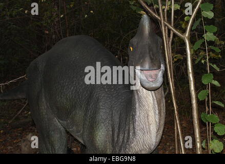 Corythosaurus,  lifelike and full-size dino statue at  Dinopark Amersfoort Zoo, The Netherlands (Cretaceous era) Stock Photo