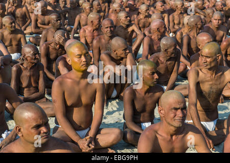 Sitting in silence as part of the initiation of new sadhus, during Kumbha Mela festival, Allahabad, Uttar Pradesh, India Stock Photo