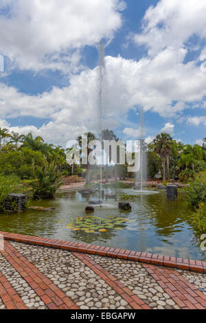 Jardin Botanico National 'Dr. Rafael María Mosoco', National Botanical garden, Santo Domingo, island of Hispaniola Stock Photo