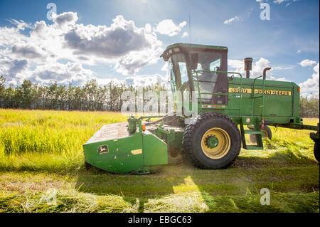 Self propelled disc mower cutting a field of hay (grass). Stock Photo