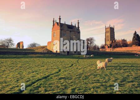 Sheep grazing below the Wool Church and the remains of the Old Manor House at Chipping Campden in the Cotswolds Stock Photo