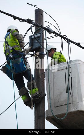 Two power supply workers replacing electric cables. Stock Photo