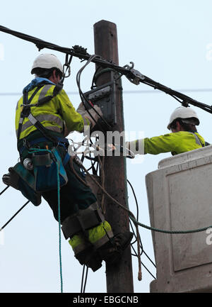 Two power supply workers replacing electric cables. Stock Photo