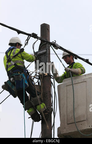 Two power supply workers replacing electric cables. Stock Photo