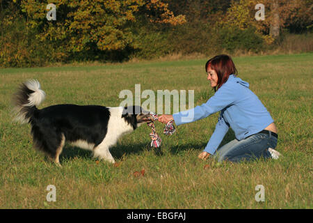 woman with Border Collie Stock Photo