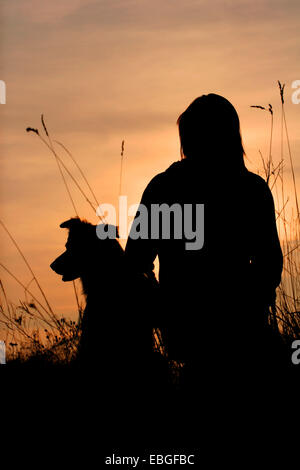 woman and Border Collie Stock Photo