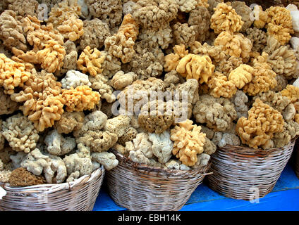 bath sponge (Spongia officinalis), baskets with sponges, Greece, Rhodes Stock Photo
