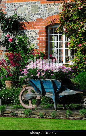 A wheelbarrow full of flowers in a cottage garden. UK Stock Photo