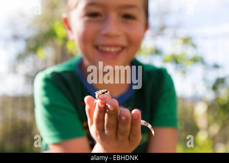 Close up portrait of boy holding gecko Stock Photo