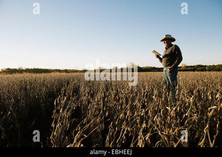 Senior male farmer using digital tablet in soybean field, Plattsburg, Missouri, USA Stock Photo