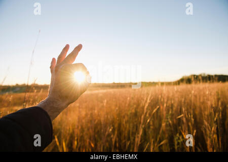 Hand of farmer encircling sun in wheat field at dusk, Plattsburg, Missouri, USA Stock Photo