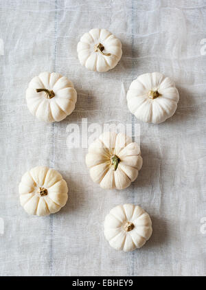 Small white pumpkins, overhead view Stock Photo