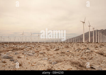 Rows of wind turbines, California, USA Stock Photo