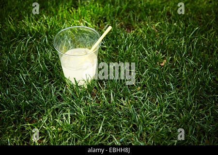 Lemonade in plastic cup on lawn Stock Photo