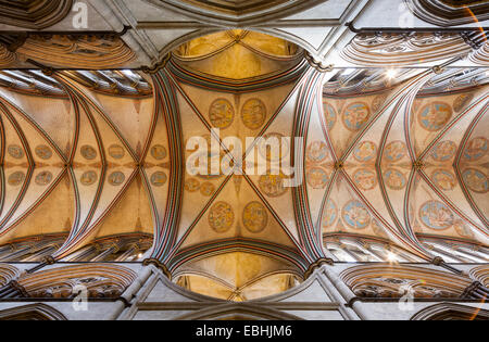 The vaulted ceiling above the choir / Trinity Chapel in Salisbury Cathedral, Wiltshire UK. Stock Photo