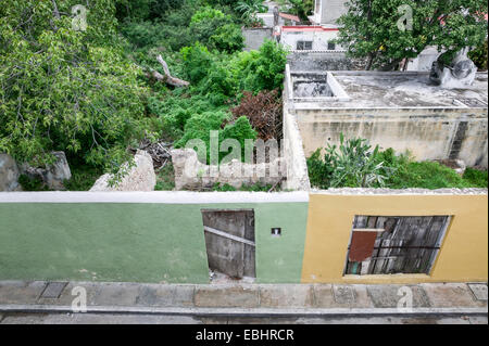 Collapsed Spanish colonial houses being reclaimed by nature, Campeche, Mexico. Stock Photo