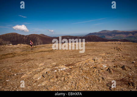 Fell Runners cross the summit plateau of Robinson in the Lake District National Park. Stock Photo