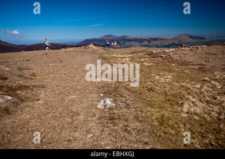 Fell Runners cross the summit plateau of Robinson in the Lake District National Park. Stock Photo