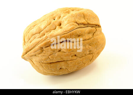 Single Walnut Stock Photo