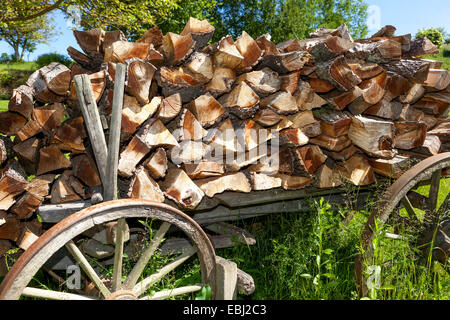 Firewood logs stacked in piles outside a cottage, rural Czech Republic Stock Photo