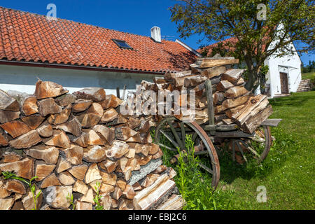 Firewood stack in piles outside a cottage, garden storage Stock Photo