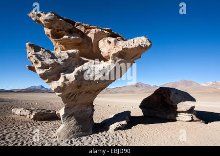 Arbol de Piedra (stone tree) Eduardo Avaroa National Reserve. Salar de Uyuni tour. Bolivia Stock Photo