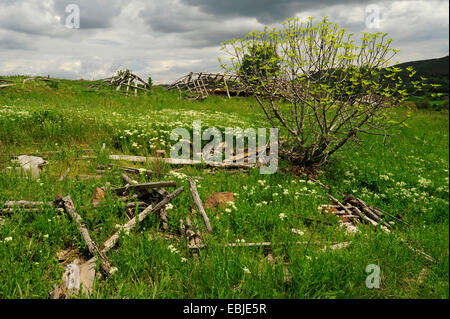 remains of a barns in a meadow, Greece, Thrakien Stock Photo