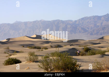 wanderers in the sand dunes in front of looming rock wall, USA, California, Death-Valley-Nationalpark, Stovepipe Wells Stock Photo