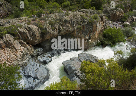 Fango river, France, Corsica Stock Photo