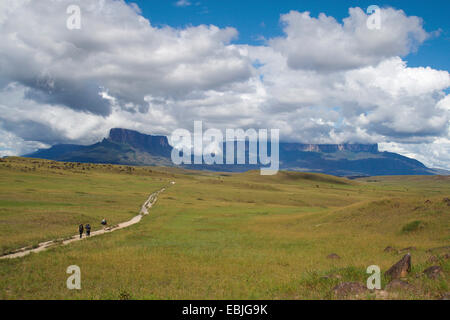 wanderers on path in Gran Sabana, Kukenan Tepui and Roraima Tepui in background, Venezuela, Canaima National Park Stock Photo