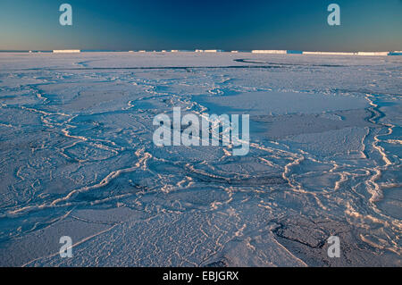 pack ice field at extreme frost near the iceberg resting place Austasen at sunrise, Antarctica Stock Photo