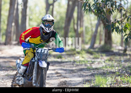 Young male motocross rider racing in forest Stock Photo